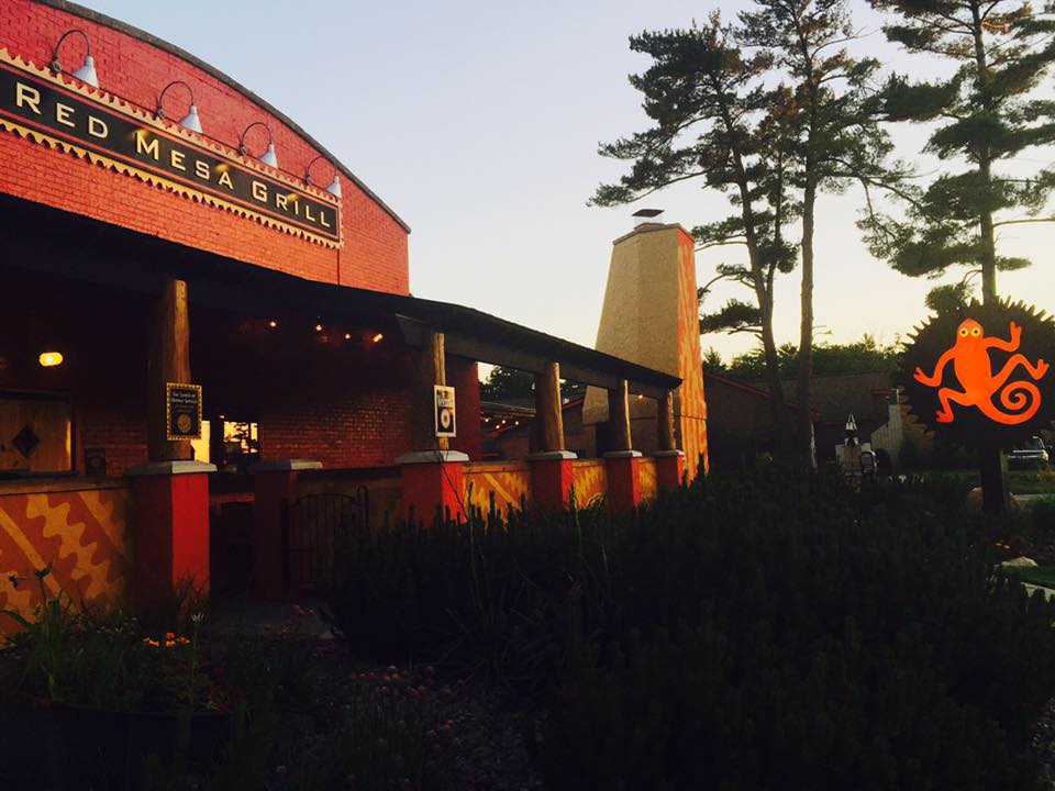 Tunnel Of Trees Michigan Fall 2023